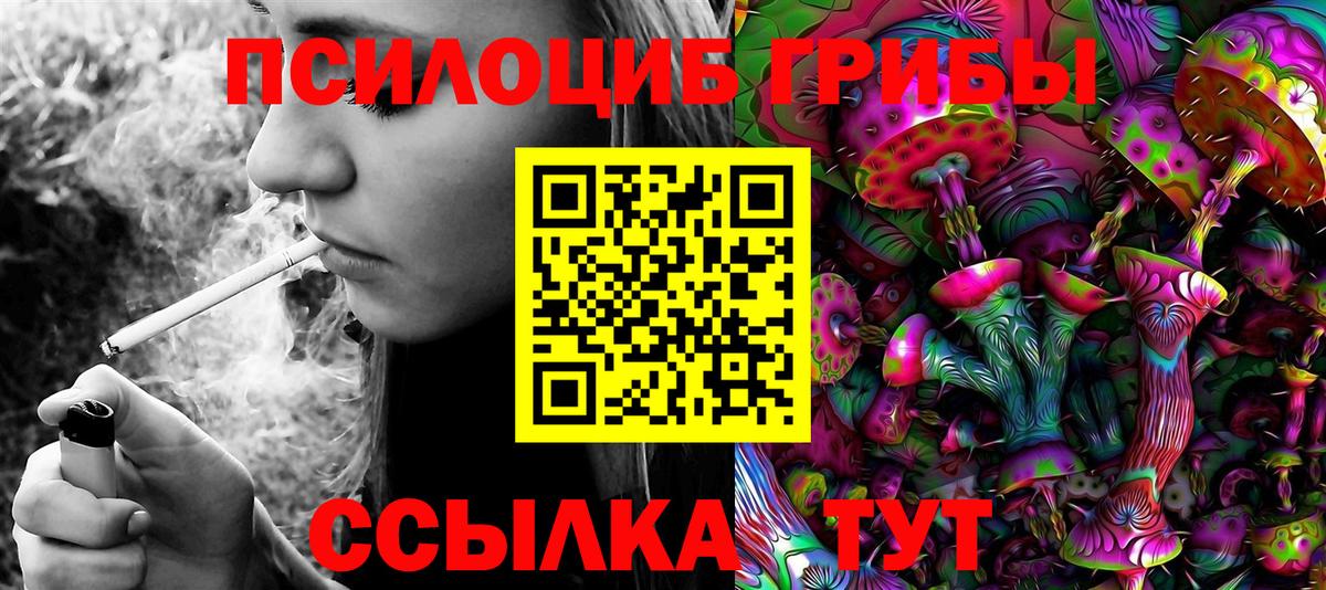 Галлюциногенные грибы Cubensis  Псилоцибиновые грибы мицелий  Вход с VPN  Лангепас 