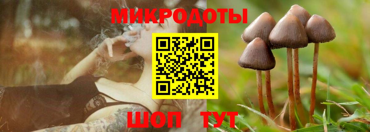 Псилоцибиновые грибы мицелий Лангепас